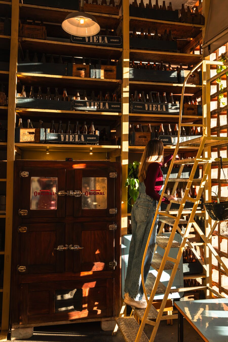 Botellas almacenadas en estanterías de un local