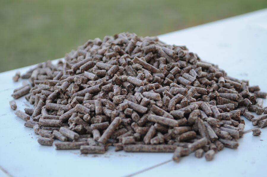 Pellets a granel listos para cargar la tolva