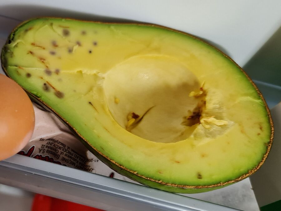 Medio aguacate abierto con el hueso dentro y algunas manchas oscuras en la pulpa