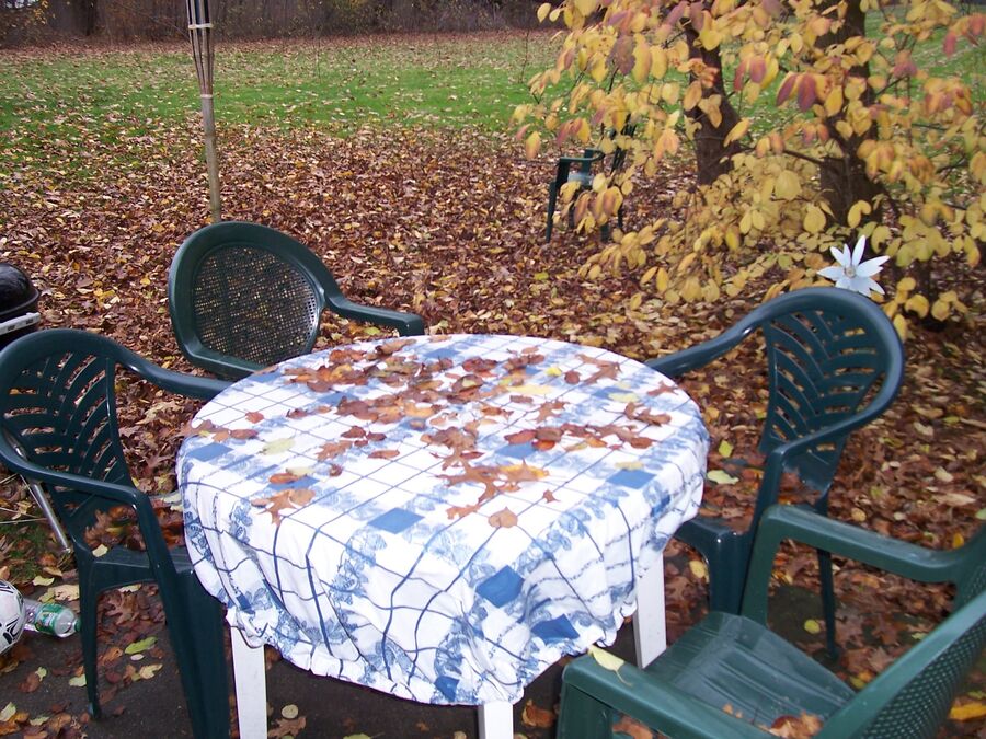 Patio trasero de una vivienda con mobiliario de jardín
