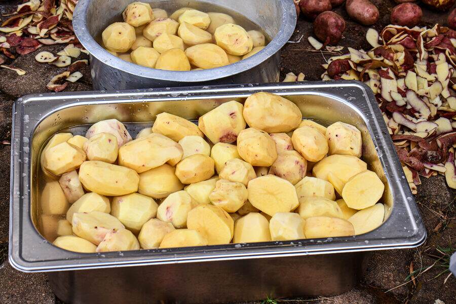 Bandejas con patatas peladas enteras cubiertas de agua, junto a las mondas y a patatas sin pelar