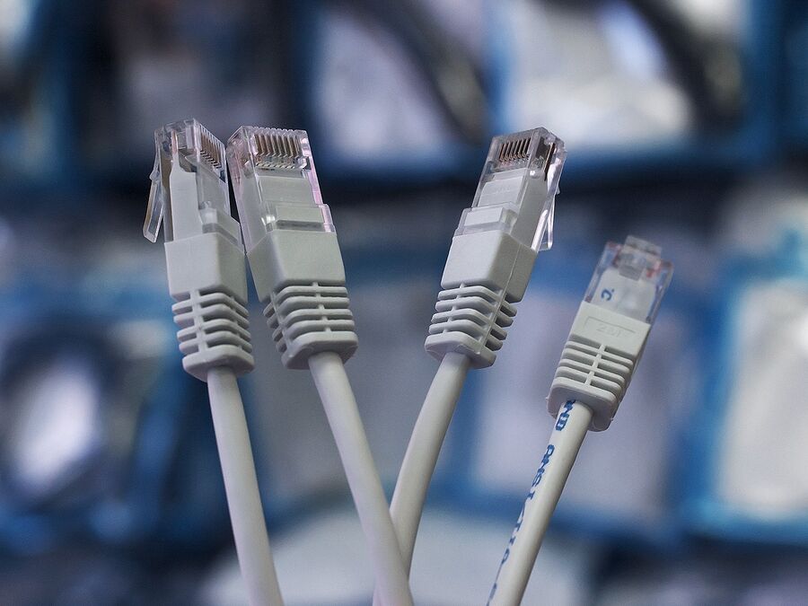 Conectores RJ45 de varios cables de red Cat 5e