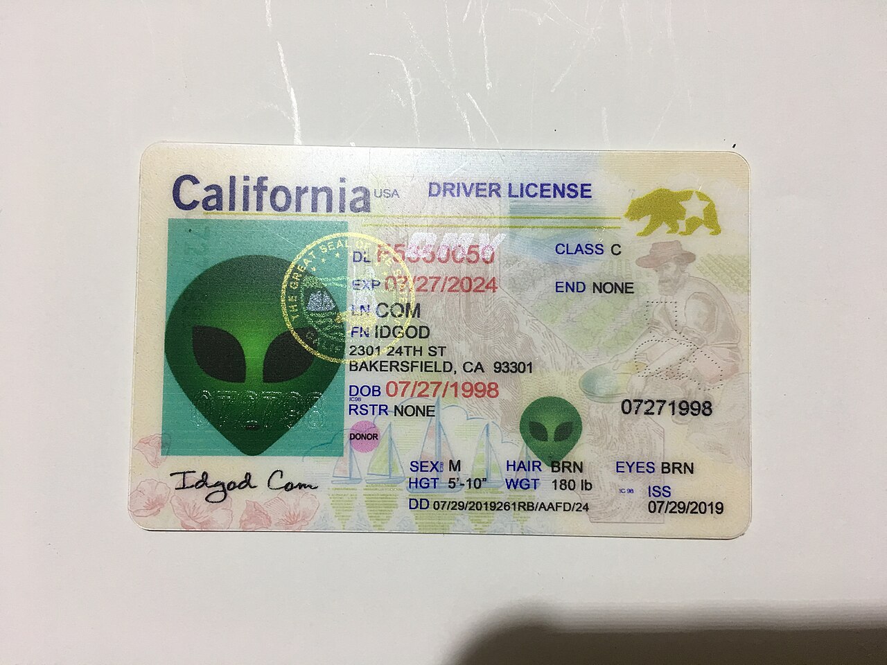 el carnet de conducir