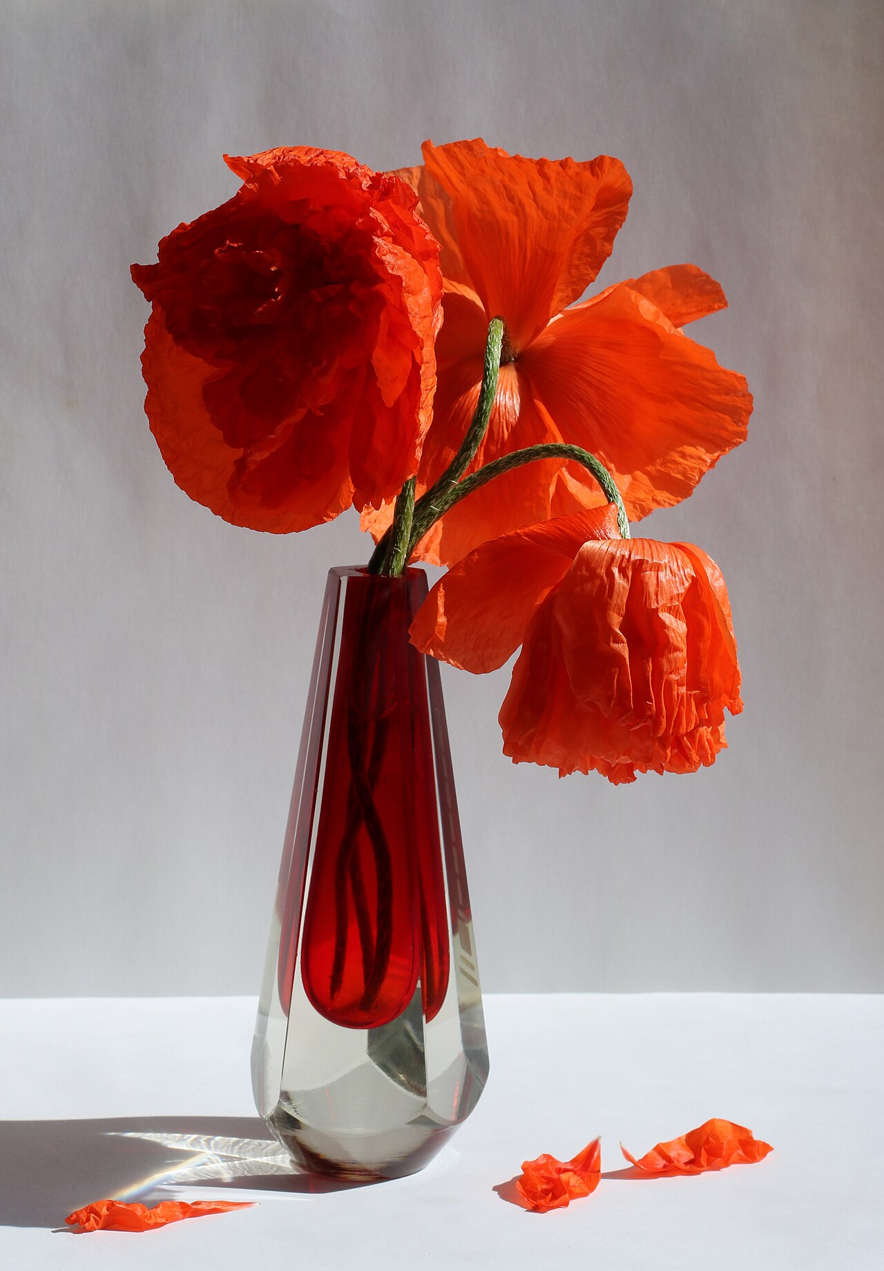 un ramo de flores