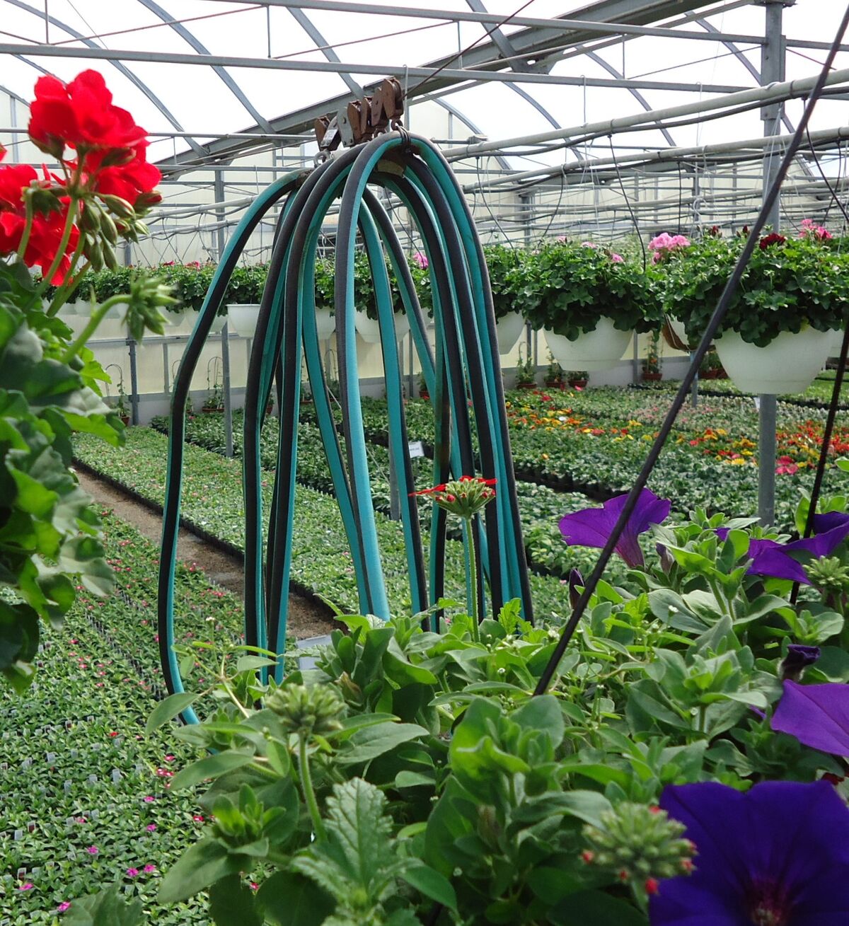 Cuánto dura una manguera de jardín