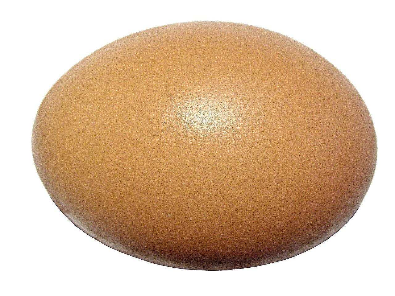 un huevo