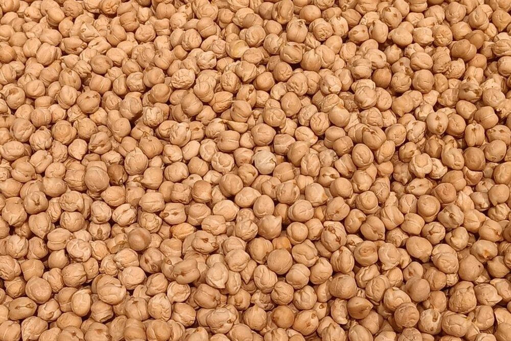 Cuánto tarda en cocerse los garbanzos