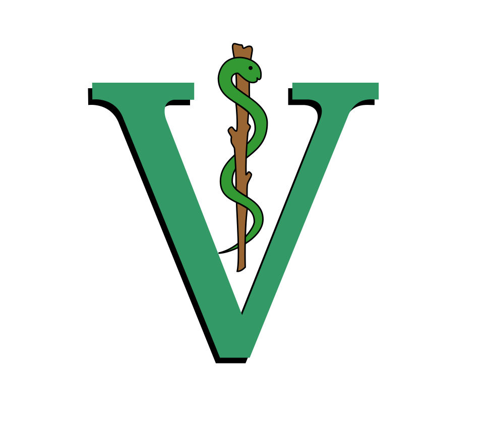 un auxiliar veterinario