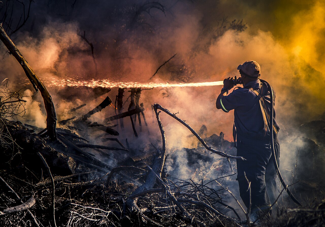 un bombero forestal
