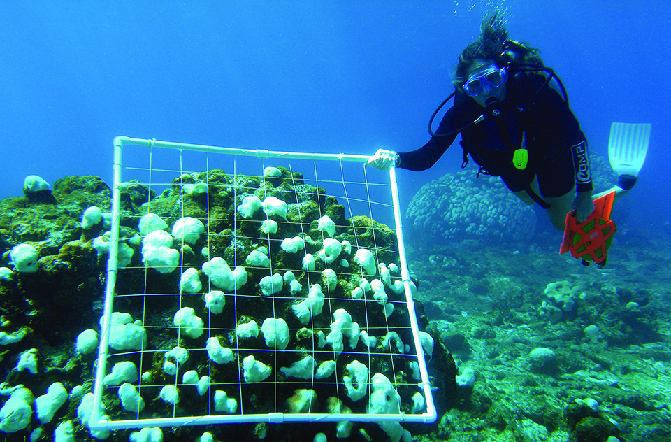 un curso de buceo