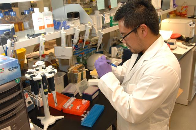 un técnico de laboratorio