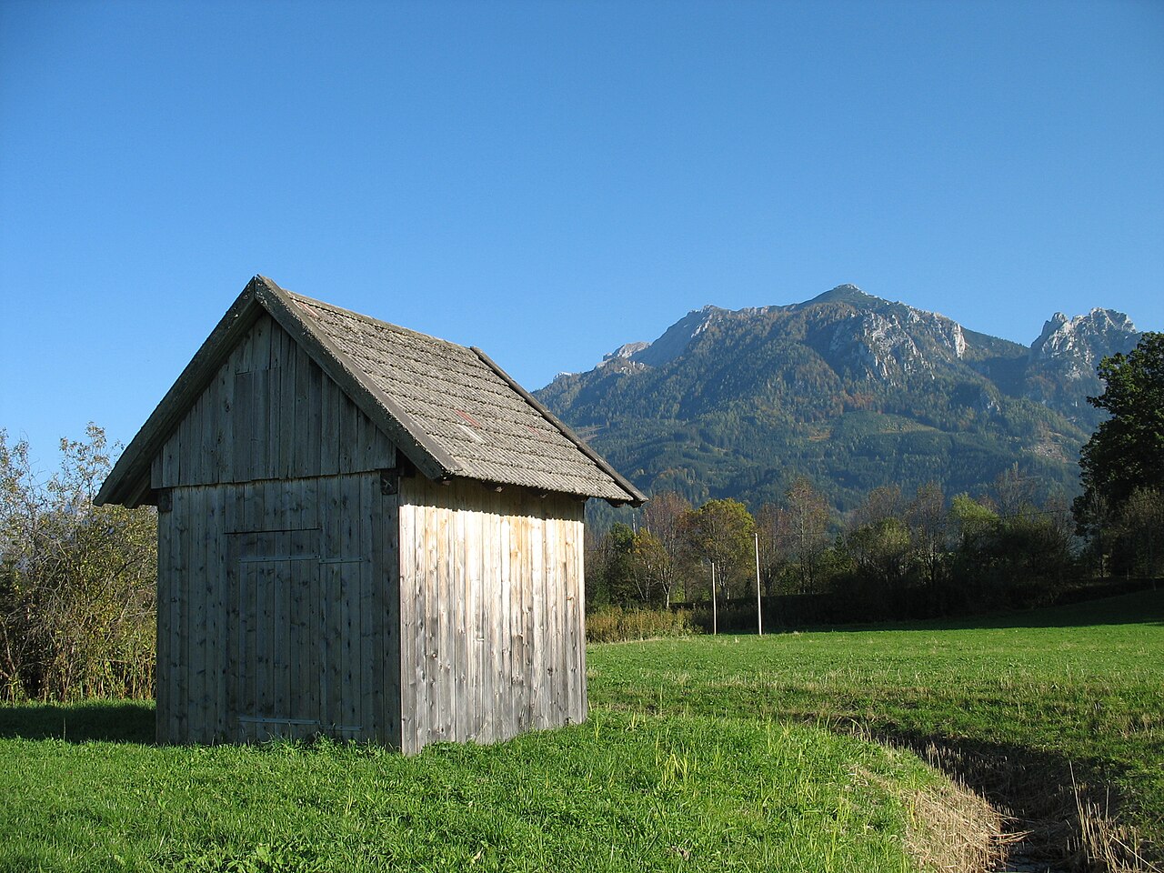 una caseta de jardín