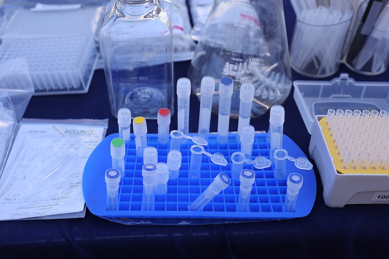 una fecundación in vitro