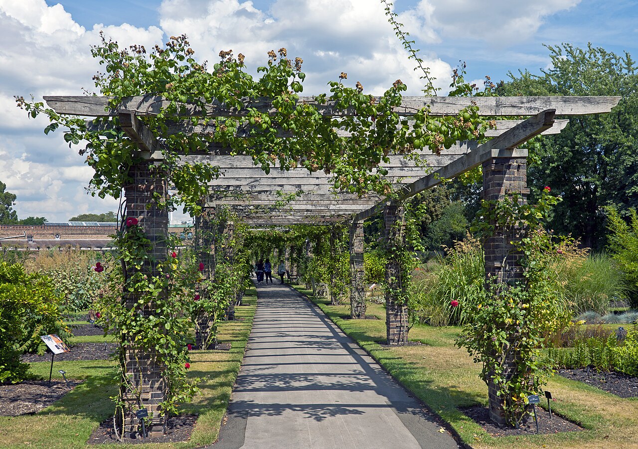 una pérgola